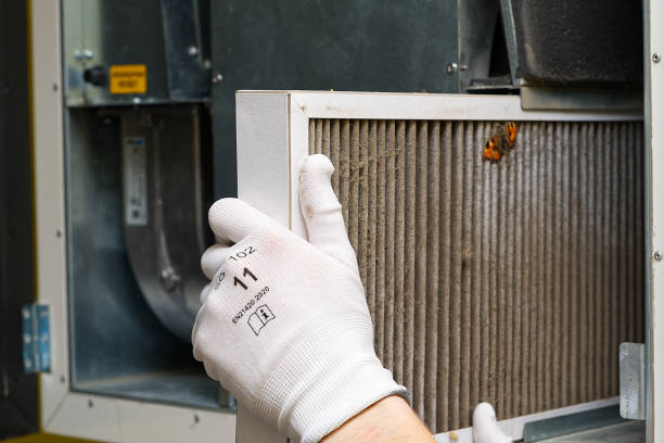Best Air Duct Cleaning Company Near Me  in Craig, AK