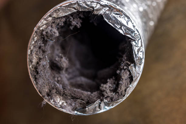 Best HVAC Duct Inspection Services  in Craig, AK