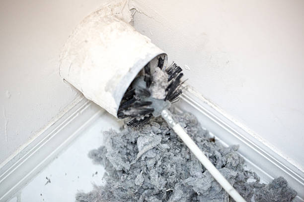 Best Affordable Duct Cleaning Services  in Craig, AK